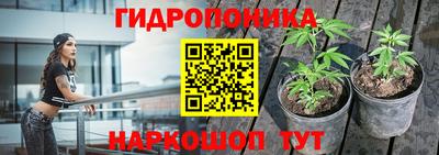 дмт Донской