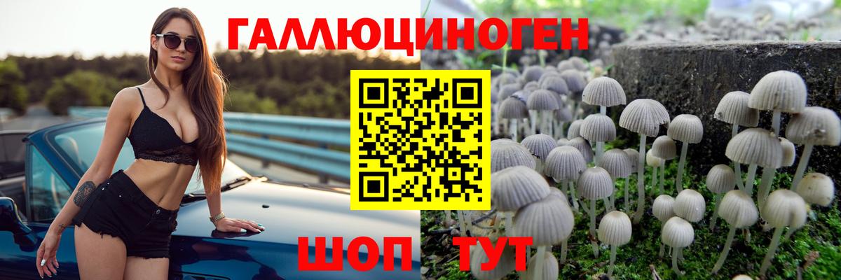 Псилоцибиновые грибы прущие грибы  Вход с VPN  Мыски 