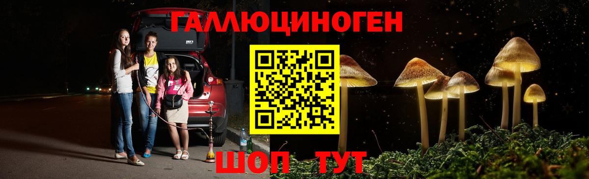 Псилоцибиновые грибы Psilocybine cubensis Мыски